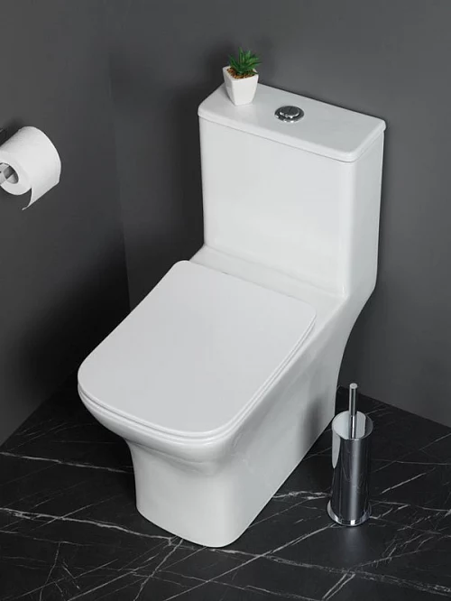Фото Унитаз моноблок BelBagno Neon BB8617CPR-MN/SC безободковый купить в Томске: цена, описание, фото. Интернет-магазин 1