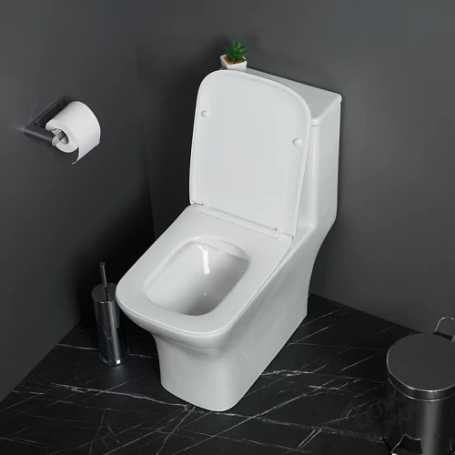 Фото Унитаз моноблок BelBagno Neon BB8617CPR-MN/SC безободковый купить в Томске: цена, описание, фото. Интернет-магазин 2