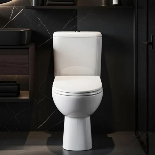 Фото Унитаз компакт напольный Roca Access 34P23800Y купить в Томске: цена, описание, фото. Интернет-магазин 3